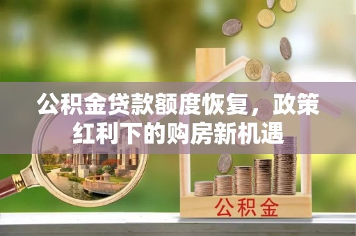 苍南公积金贷款额度恢复，政策红利下的购房新机遇