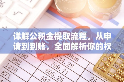 苍南详解公积金提取流程，从申请到到账，全面解析你的权益与操作步骤