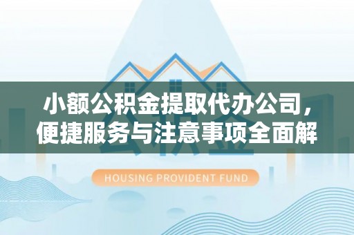 苍南小额公积金提取代办公司，便捷服务与注意事项全面解析