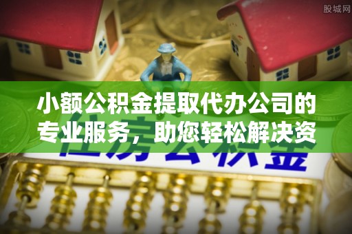 苍南小额公积金提取代办公司的专业服务，助您轻松解决资金难题