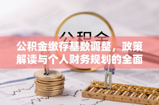 苍南公积金缴存基数调整，政策解读与个人财务规划的全面分析