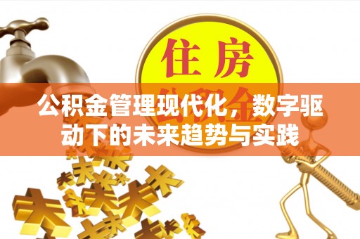 苍南公积金管理现代化，数字驱动下的未来趋势与实践