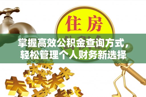 苍南掌握高效公积金查询方式，轻松管理个人财务新选择