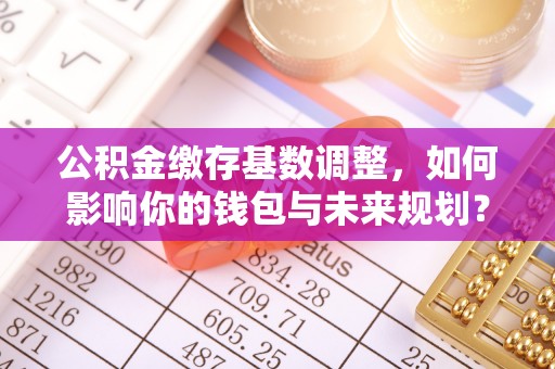 苍南公积金缴存基数调整，如何影响你的钱包与未来规划？