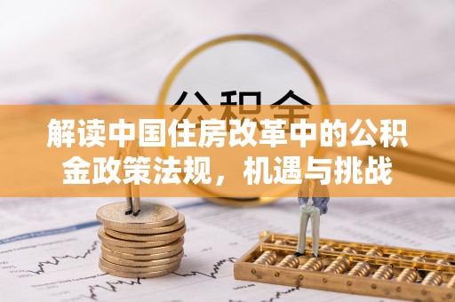苍南解读中国住房改革中的公积金政策法规，机遇与挑战