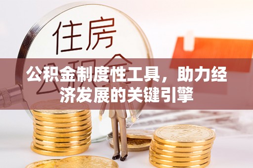 苍南公积金制度性工具，助力经济发展的关键引擎