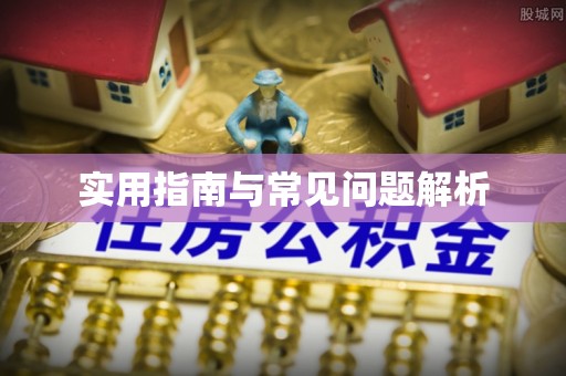苍南实用指南与常见问题解析