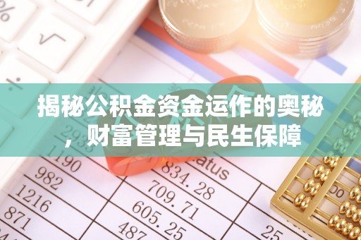 苍南揭秘公积金资金运作的奥秘，财富管理与民生保障