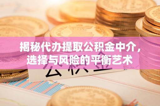 苍南揭秘代办提取公积金中介，选择与风险的平衡艺术