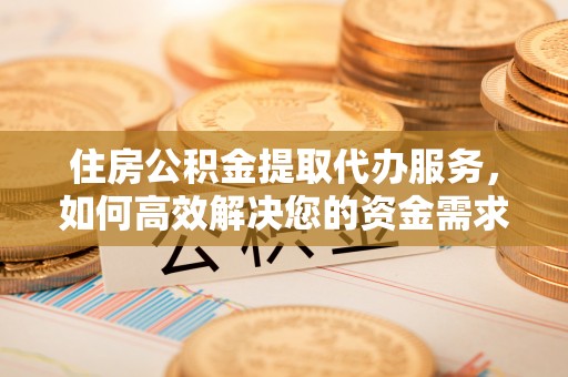 苍南住房公积金提取代办服务，如何高效解决您的资金需求