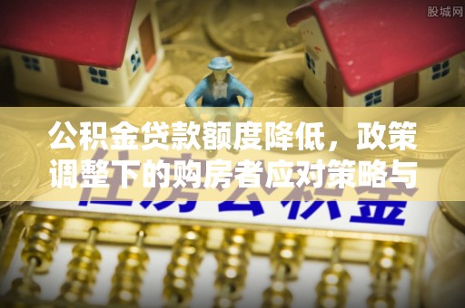 苍南公积金贷款额度降低，政策调整下的购房者应对策略与未来趋势