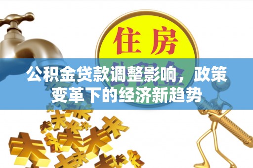 苍南公积金贷款调整影响，政策变革下的经济新趋势
