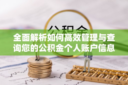 苍南全面解析如何高效管理与查询您的公积金个人账户信息