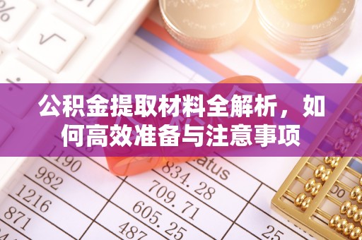 苍南公积金提取材料全解析，如何高效准备与注意事项