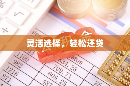 苍南灵活选择，轻松还贷