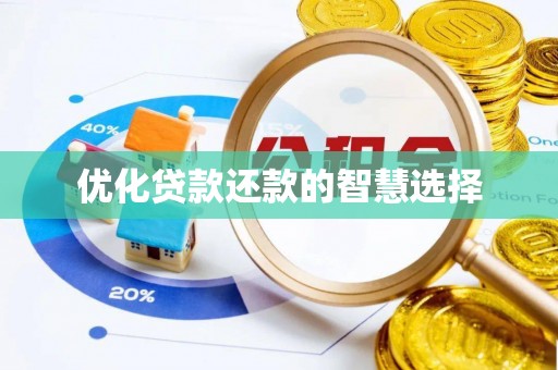 苍南优化贷款还款的智慧选择