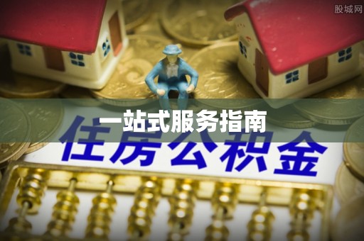 苍南一站式服务指南