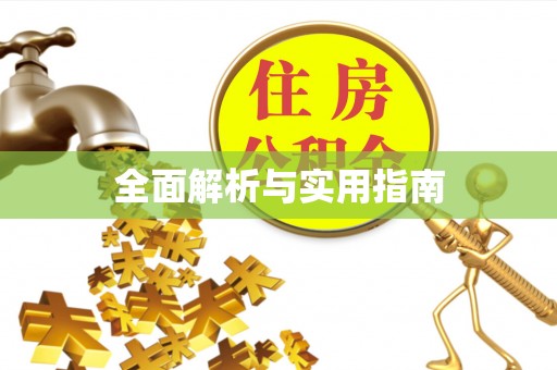 苍南全面解析与实用指南