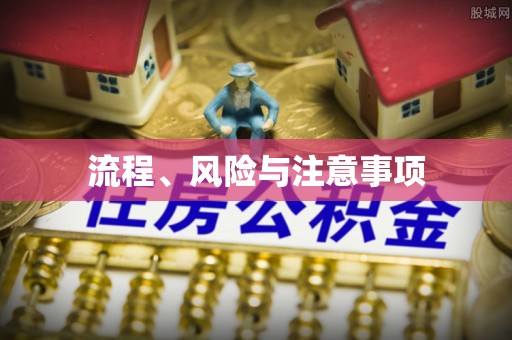 苍南流程、风险与注意事项